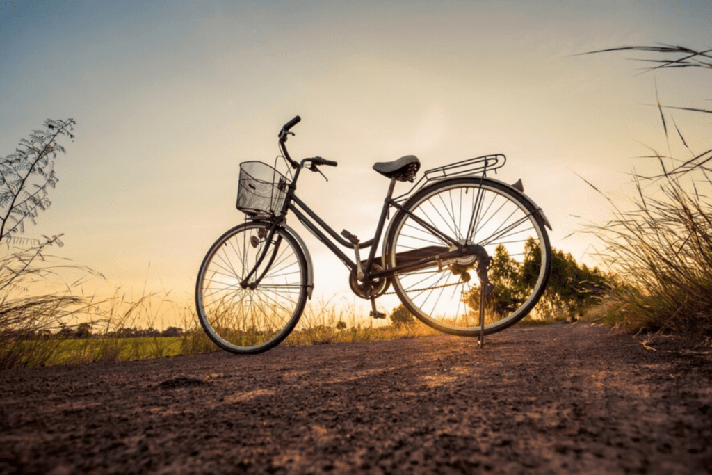 Bicycles Store